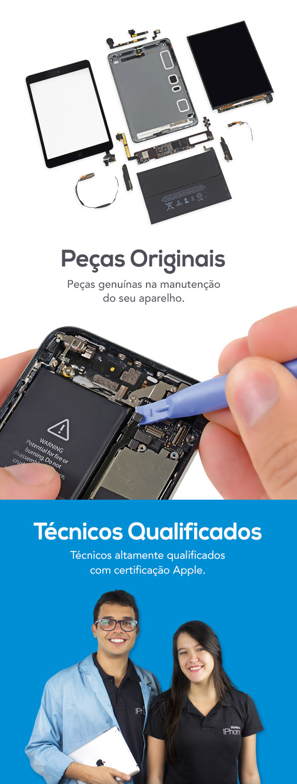 Assistncia Tcnica Especializada